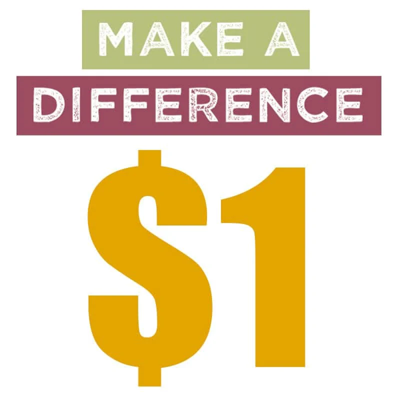 Fosi Audio Make Up the Price Difference of $1